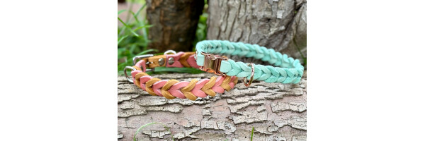 Collar and leash